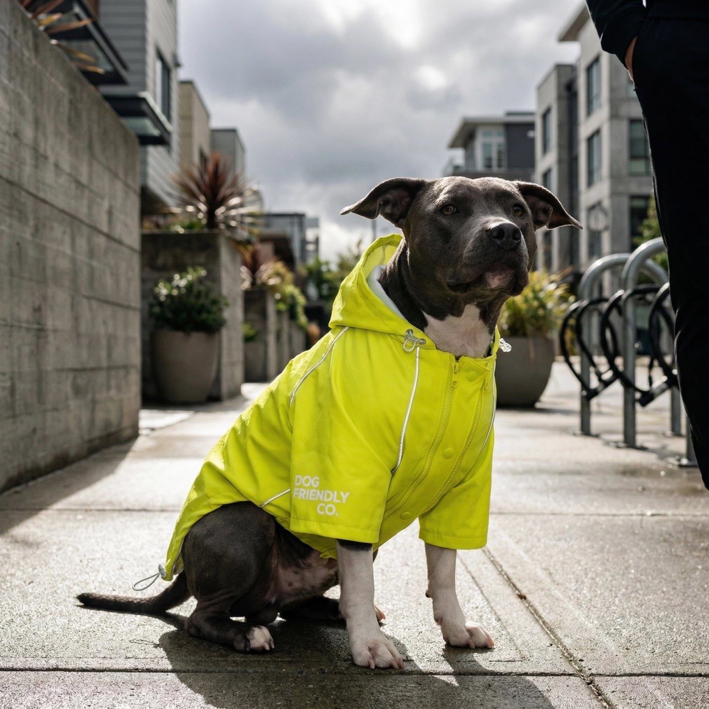 Storm Pro Raincoat - Yellow