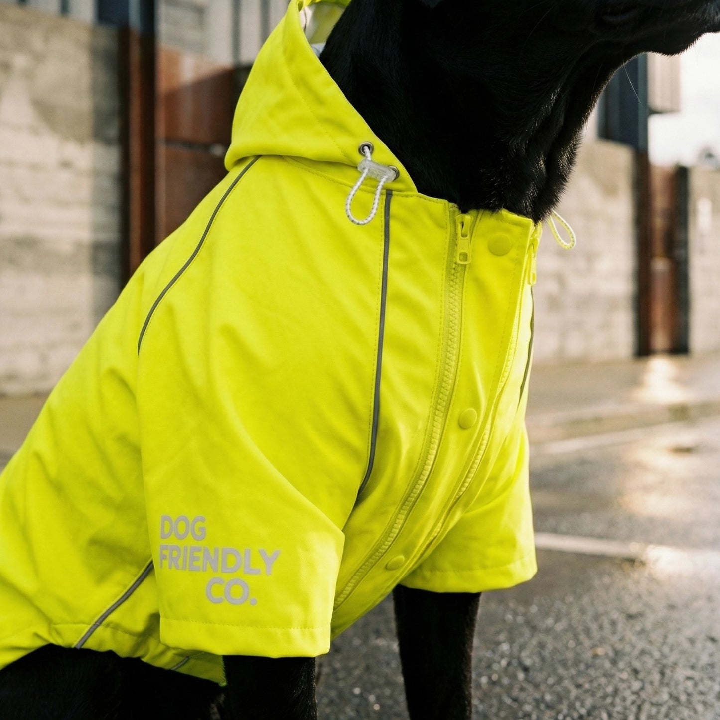 Storm Pro Raincoat - Yellow