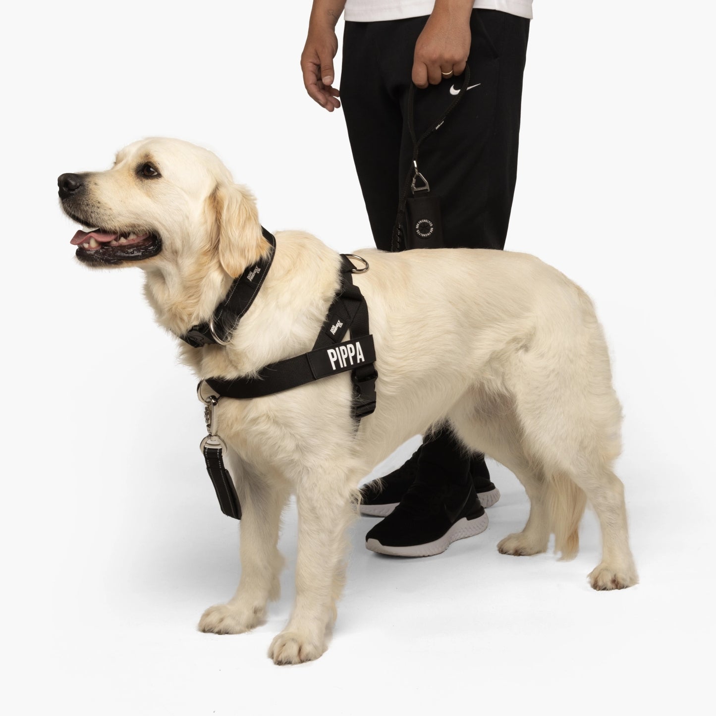 Ultimate No-Pull Bundle - Black