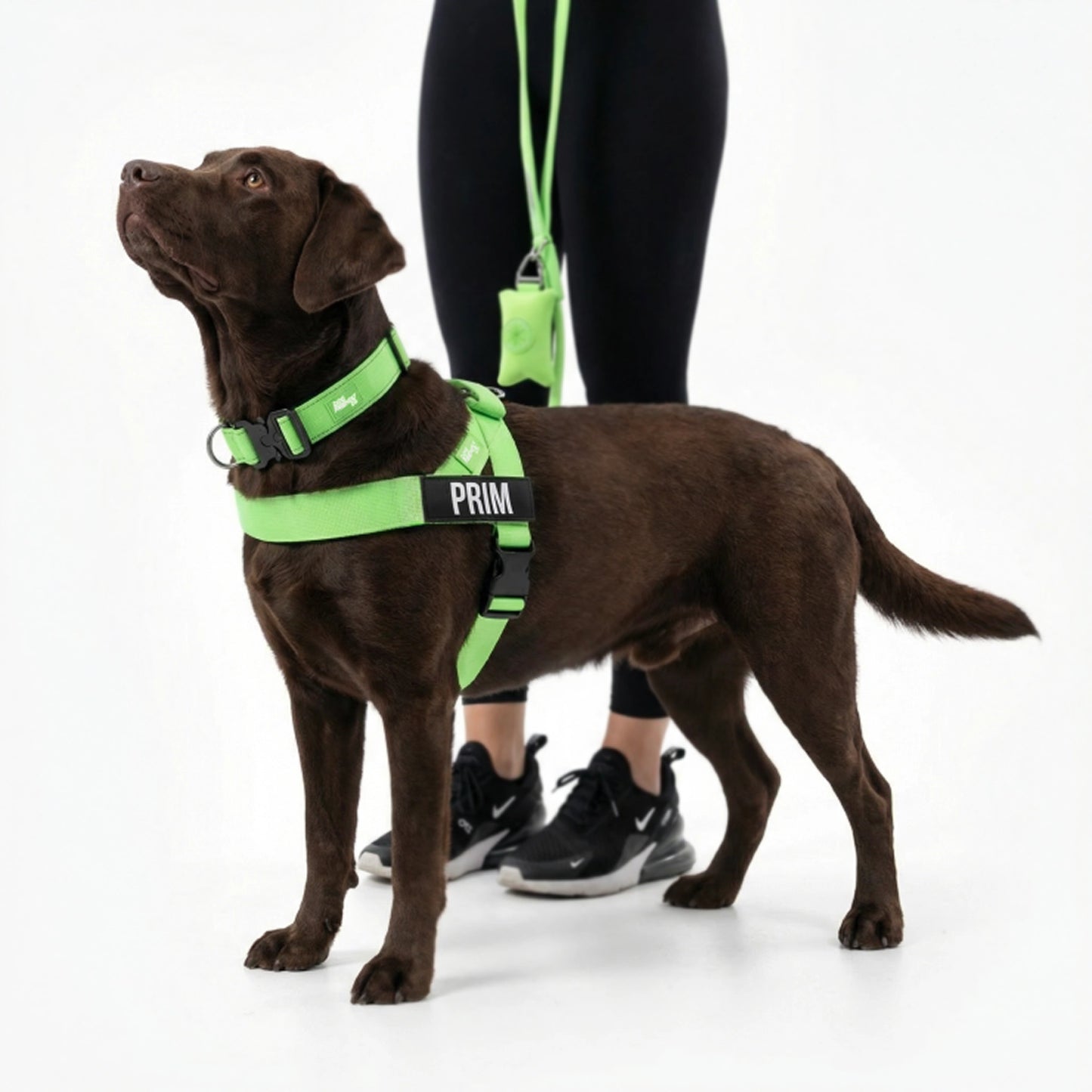 Ultimate No-Pull Bundle - Neon Green