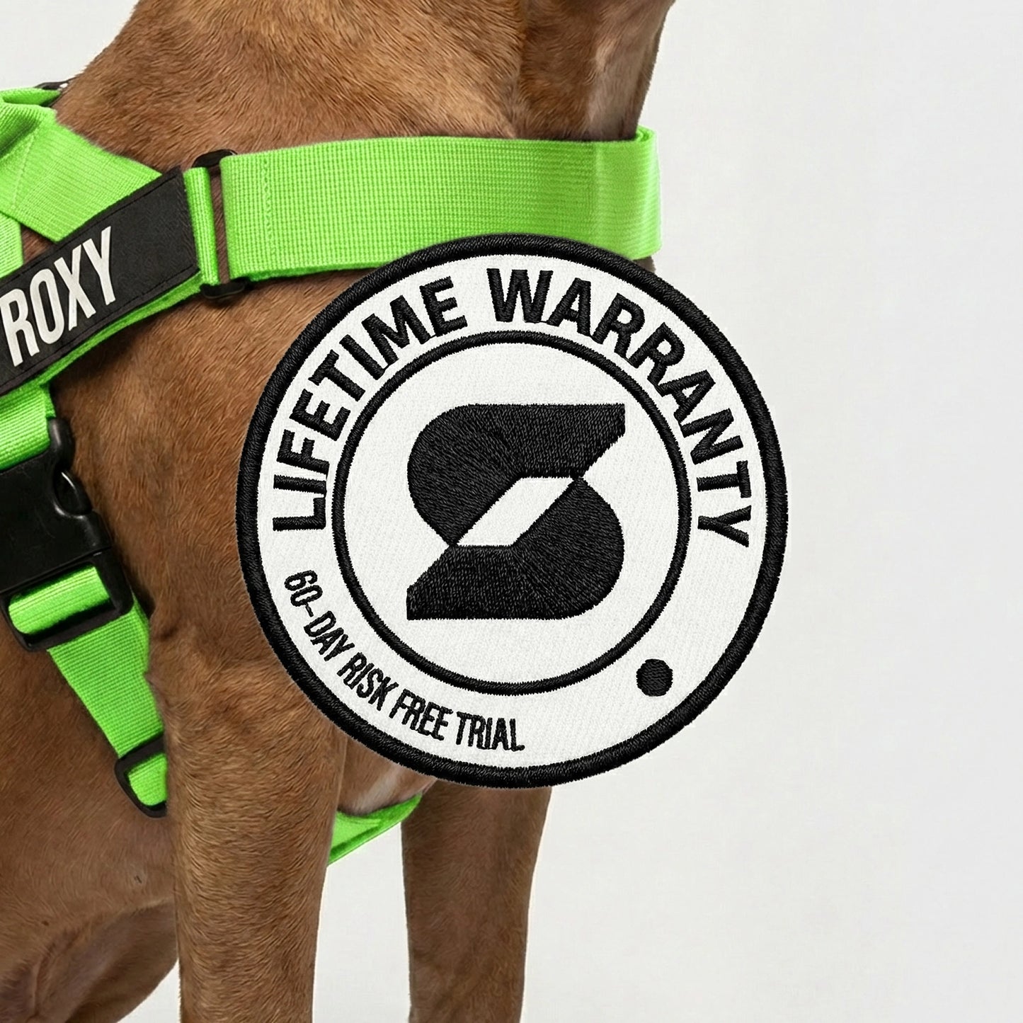 Ultimate No-Pull Bundle - Neon Green