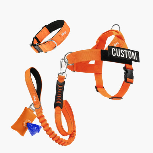 Ultimate No-Pull Bundle - Hi-Vis Orange