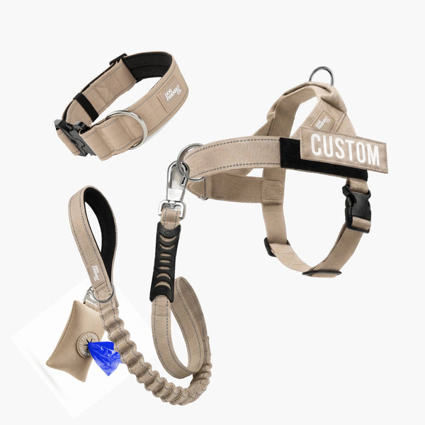 Walk Essentials