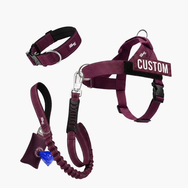 Walk Essentials