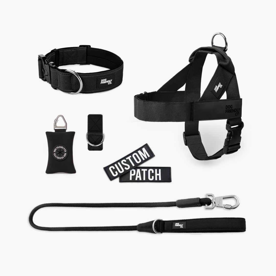 Walk Essentials - Black