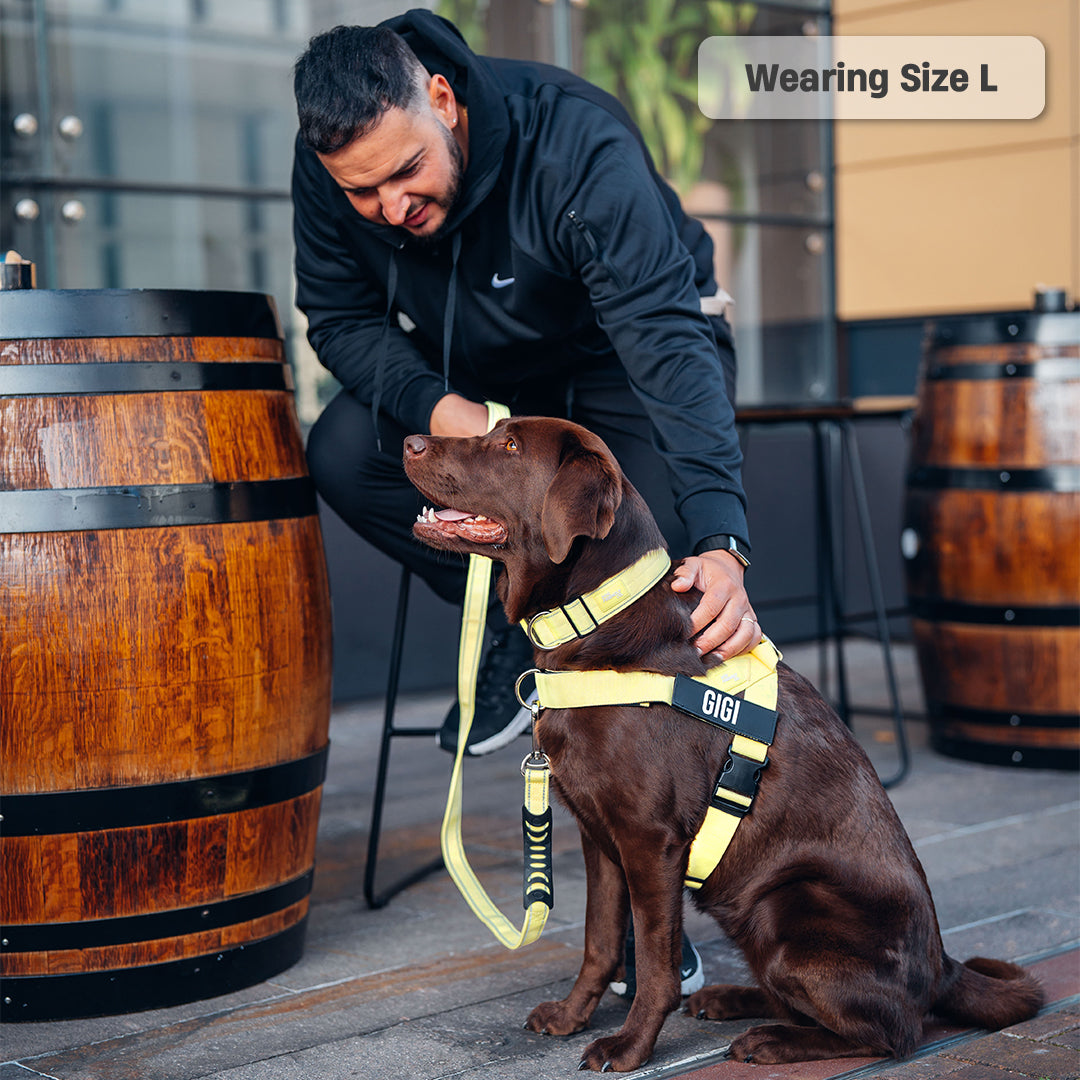 Walk Essentials - Yellow