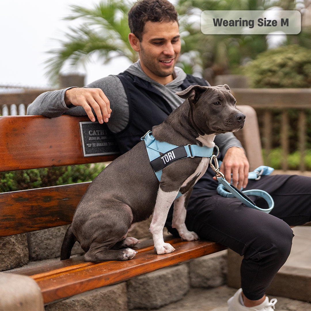 Dog Harness - Sky Blue
