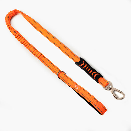 Bungee Dog Leash - Hi-Vis Orange