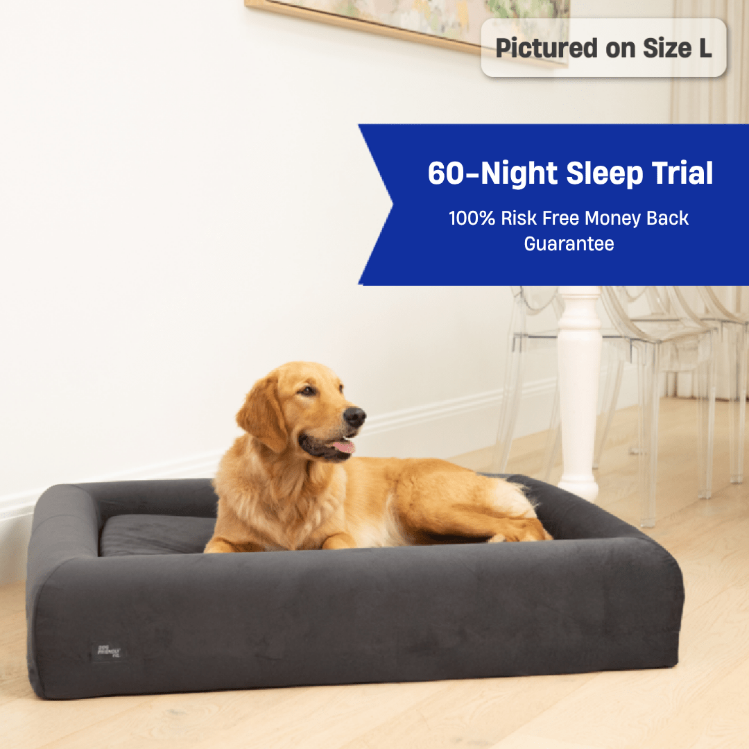 Premium Orthopedic Memory Foam Dog Bed - Charcoal (Medium)