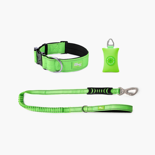 Collar Walk Set - Neon Green