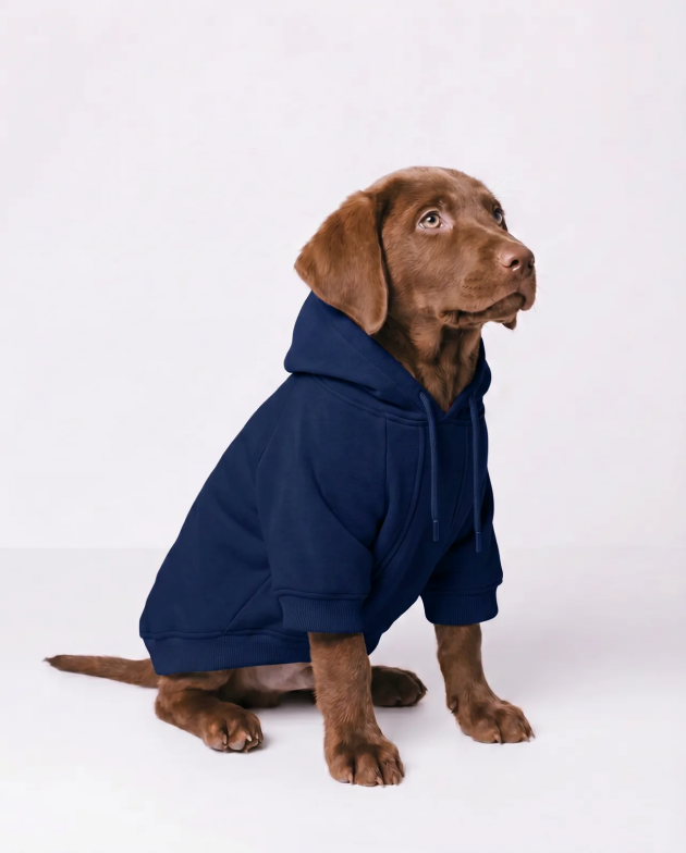 Dog Hoodie – Navy Blue – on a dog