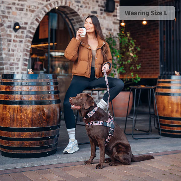 Dog Harness + FREE D-ring