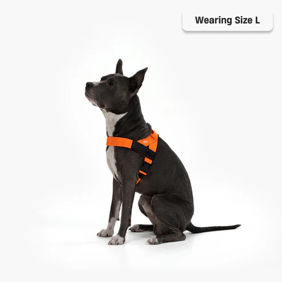 Signature Kit - Orange