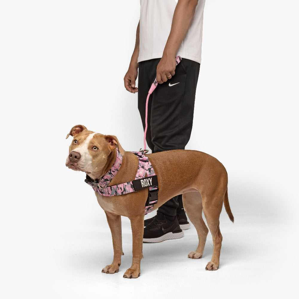 Dog Lovers Pack - Pink Camo