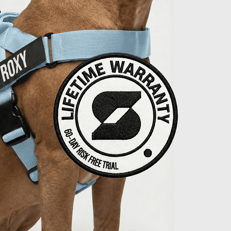 Personalised Dog Harness - Sky Blue