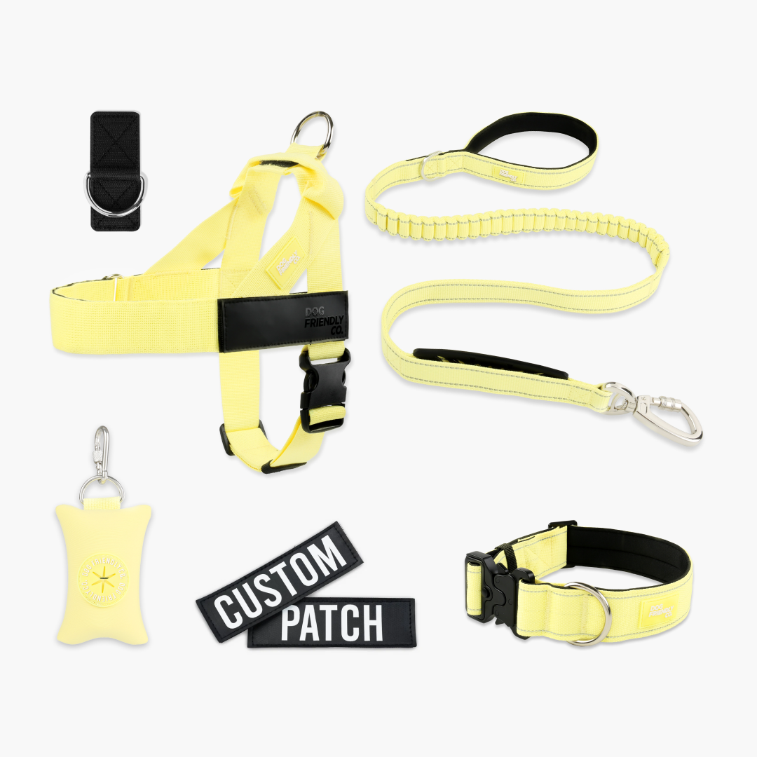 Ultimate No-Pull Bundle