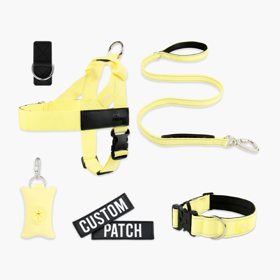 Ultimate No-Pull Bundle