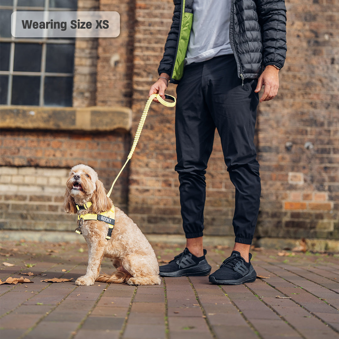 Signature Kit - Yellow