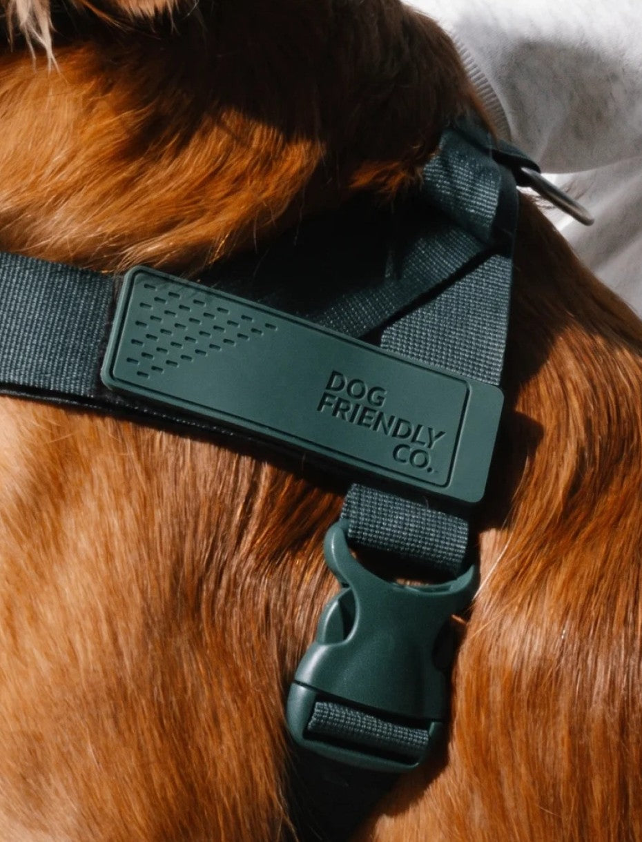 Colour-matched buckle on the Forest harness