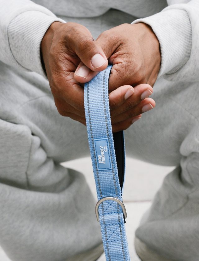 Air bungee leash handle held in two hands