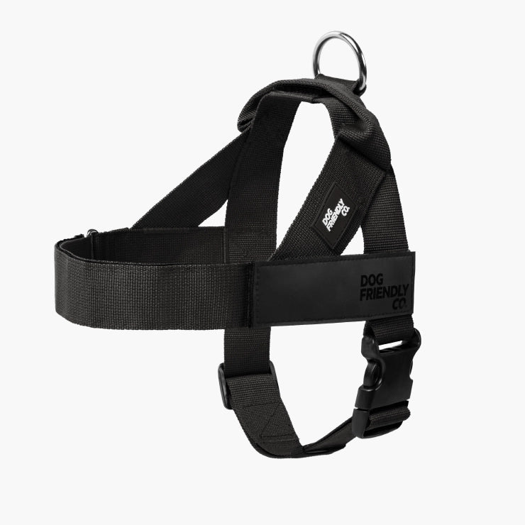 Black Dog Friendly Co. harness, photographed in the studio